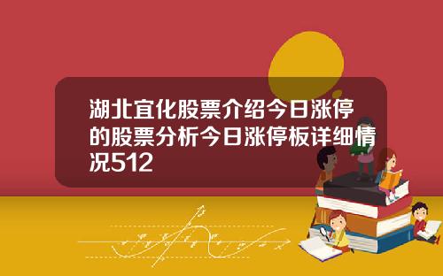 湖北宜化股票介绍今日涨停的股票分析今日涨停板详细情况512