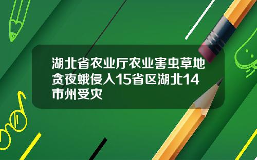 湖北省农业厅农业害虫草地贪夜蛾侵入15省区湖北14市州受灾