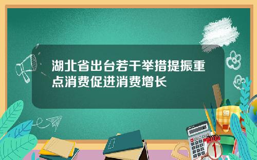 湖北省出台若干举措提振重点消费促进消费增长