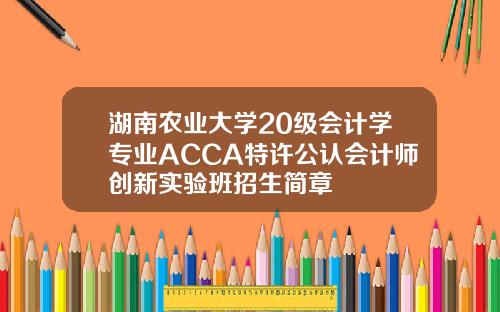 湖南农业大学20级会计学专业ACCA特许公认会计师创新实验班招生简章