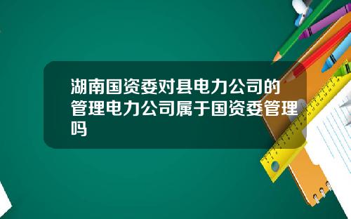 湖南国资委对县电力公司的管理电力公司属于国资委管理吗