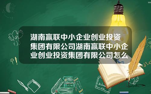 湖南赢联中小企业创业投资集团有限公司湖南赢联中小企业创业投资集团有限公司怎么样