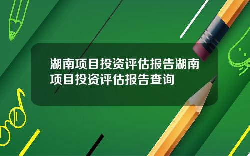 湖南项目投资评估报告湖南项目投资评估报告查询
