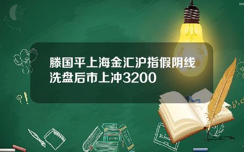 滕国平上海金汇沪指假阴线洗盘后市上冲3200