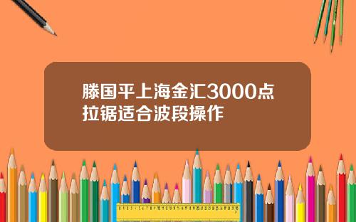 滕国平上海金汇3000点拉锯适合波段操作
