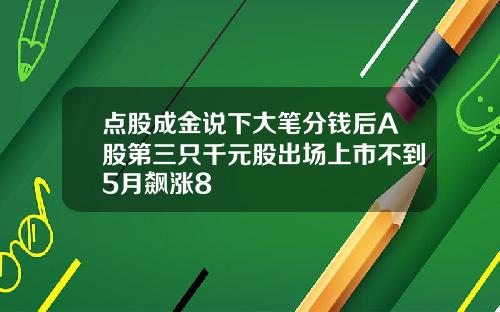 点股成金说下大笔分钱后A股第三只千元股出场上市不到5月飙涨8