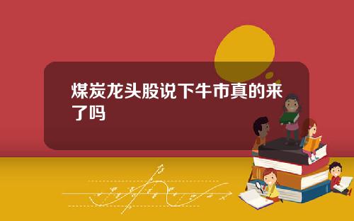 煤炭龙头股说下牛市真的来了吗