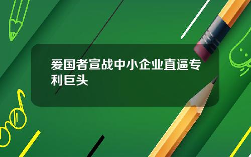 爱国者宣战中小企业直逼专利巨头