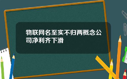 物联网名至实不归两概念公司净利齐下滑