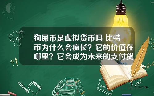 狗屎币是虚拟货币吗 比特币为什么会疯长?它的价值在哪里?它会成为未来的支付货币吗?