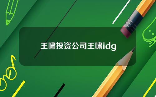 王啸投资公司王啸idg