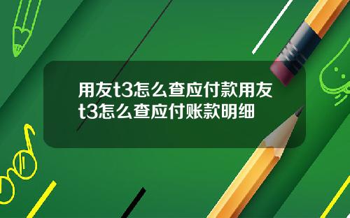 用友t3怎么查应付款用友t3怎么查应付账款明细