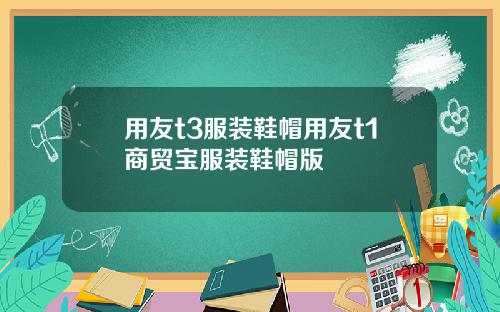 用友t3服装鞋帽用友t1商贸宝服装鞋帽版