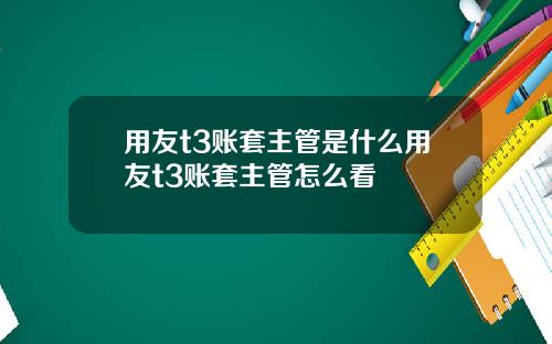 用友t3账套主管是什么用友t3账套主管怎么看