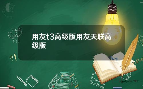 用友t3高级版用友天联高级版