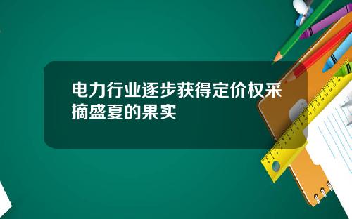 电力行业逐步获得定价权采摘盛夏的果实