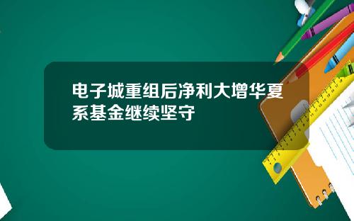 电子城重组后净利大增华夏系基金继续坚守