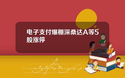 电子支付爆棚深桑达A等5股涨停
