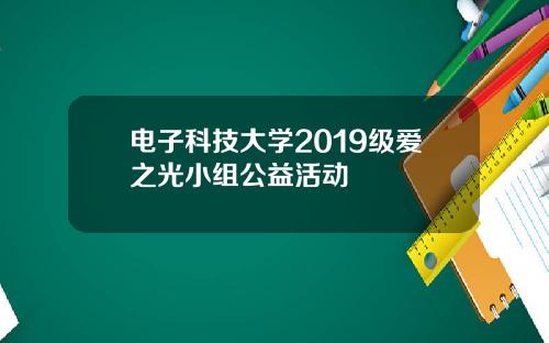 电子科技大学2019级爱之光小组公益活动