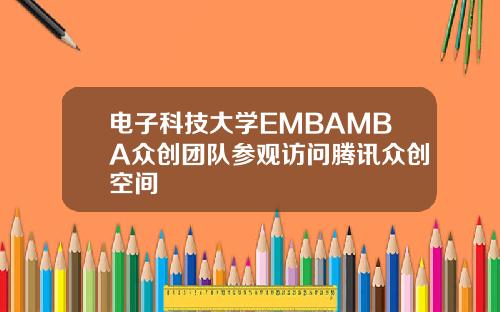 电子科技大学EMBAMBA众创团队参观访问腾讯众创空间