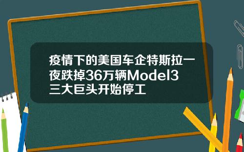 疫情下的美国车企特斯拉一夜跌掉36万辆Model3三大巨头开始停工