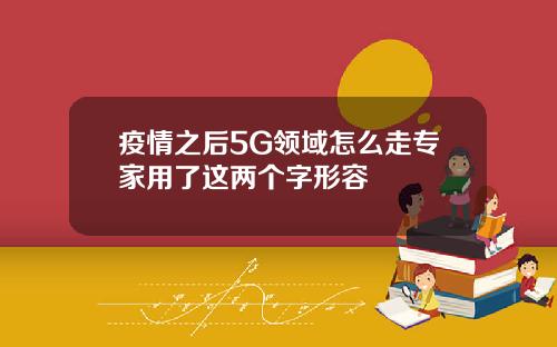 疫情之后5G领域怎么走专家用了这两个字形容
