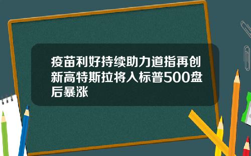 疫苗利好持续助力道指再创新高特斯拉将入标普500盘后暴涨