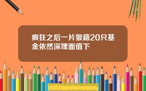 疯狂之后一片狼藉20只基金依然深埋面值下