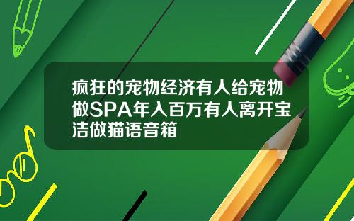 疯狂的宠物经济有人给宠物做SPA年入百万有人离开宝洁做猫语音箱