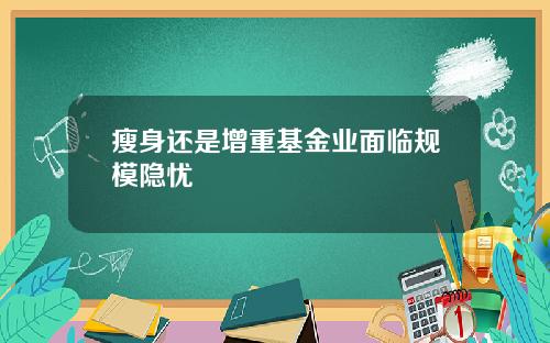 瘦身还是增重基金业面临规模隐忧