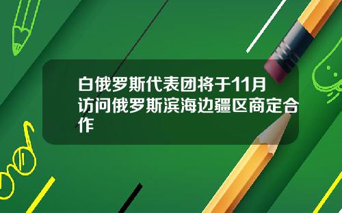 白俄罗斯代表团将于11月访问俄罗斯滨海边疆区商定合作
