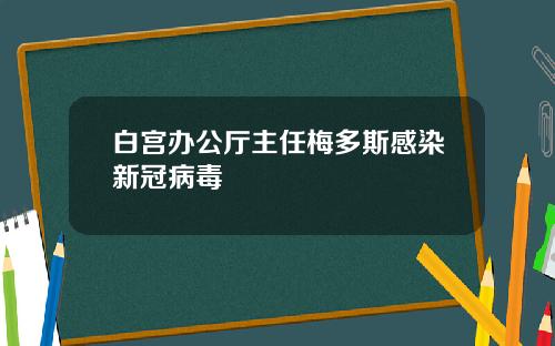 白宫办公厅主任梅多斯感染新冠病毒