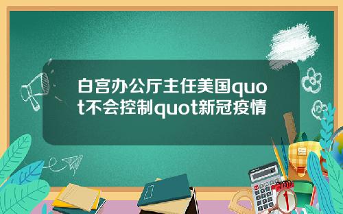 白宫办公厅主任美国quot不会控制quot新冠疫情