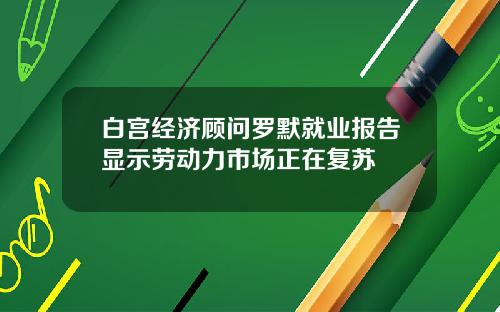 白宫经济顾问罗默就业报告显示劳动力市场正在复苏
