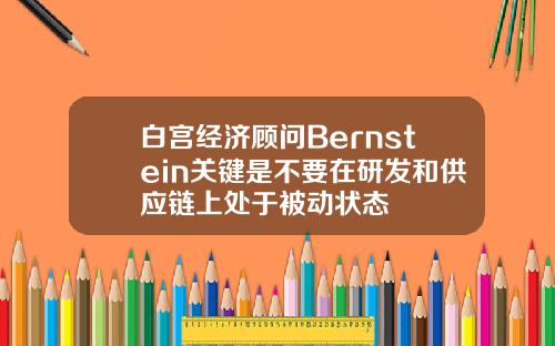 白宫经济顾问Bernstein关键是不要在研发和供应链上处于被动状态