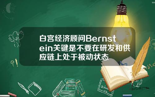 白宫经济顾问Bernstein关键是不要在研发和供应链上处于被动状态