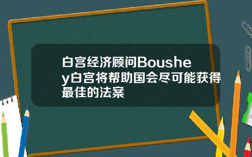 白宫经济顾问Boushey白宫将帮助国会尽可能获得最佳的法案