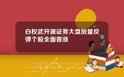 白权武开源证券大盘放量反弹个股全面普涨