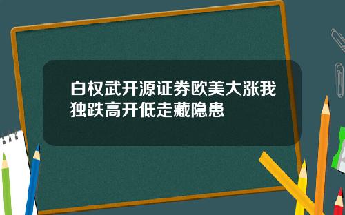 白权武开源证券欧美大涨我独跌高开低走藏隐患