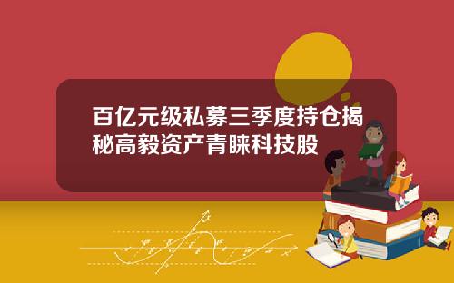 百亿元级私募三季度持仓揭秘高毅资产青睐科技股