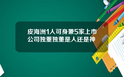皮海洲1人可身兼5家上市公司独董独董是人还是神