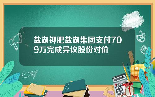 盐湖钾肥盐湖集团支付709万完成异议股份对价