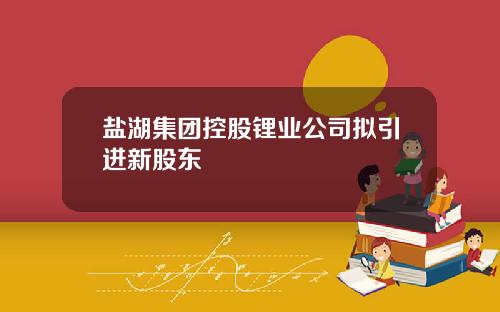 盐湖集团控股锂业公司拟引进新股东