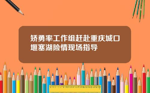 矫勇率工作组赶赴重庆城口堰塞湖险情现场指导