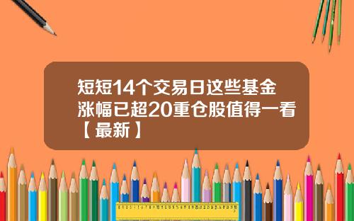 短短14个交易日这些基金涨幅已超20重仓股值得一看【最新】