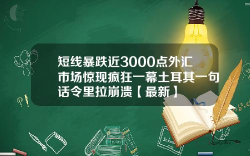 短线暴跌近3000点外汇市场惊现疯狂一幕土耳其一句话令里拉崩溃【最新】