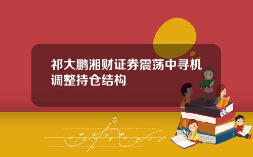 祁大鹏湘财证券震荡中寻机调整持仓结构