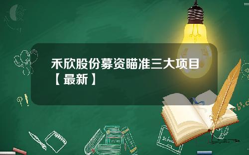 禾欣股份募资瞄准三大项目【最新】