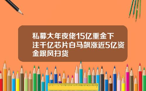 私募大年夜佬15亿重金下注千亿芯片白马飙涨近5亿资金跟风扫货