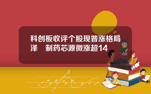 科创板收评个股现普涨格局泽璟制药芯源微涨超14